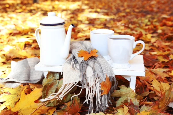 Composição de outono com bebida quente no fundo da natureza — Fotografia de Stock