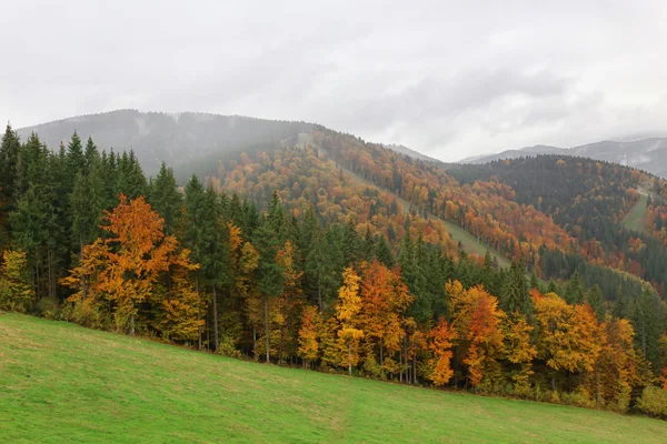 Hory na podzim — Stock fotografie