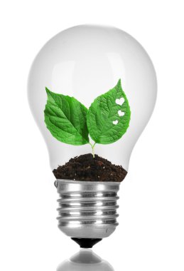 yeşil eko enerji kavramı