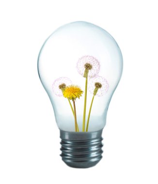 yeşil eko enerji kavramı