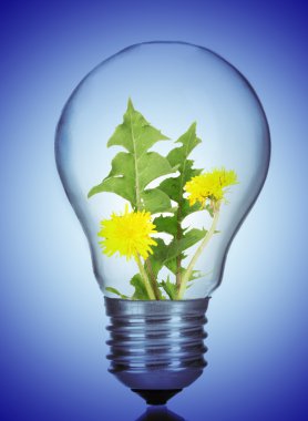 yeşil eko enerji kavramı