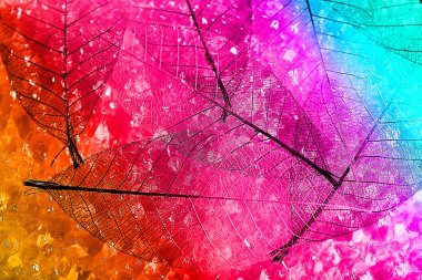 iskelet yaprakları arka plan