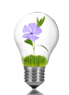 yeşil eko enerji kavramı