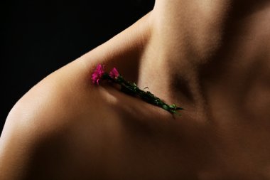 Kadının boyun, köprücük kemiği ve omuzlar, yakın çekim görüntüleme