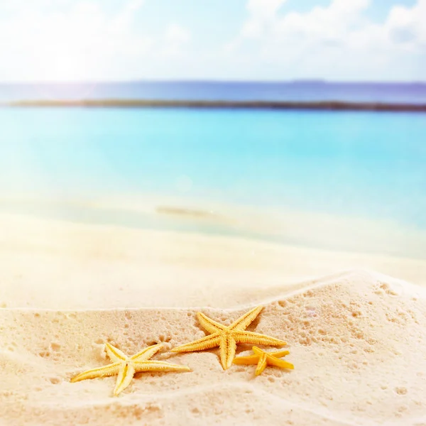 Estrella de mar sobre arena marina — Foto de Stock