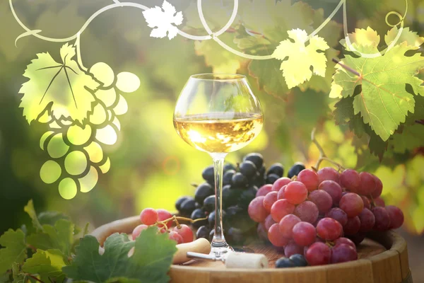 Wine on nature background — Stock Photo, Image