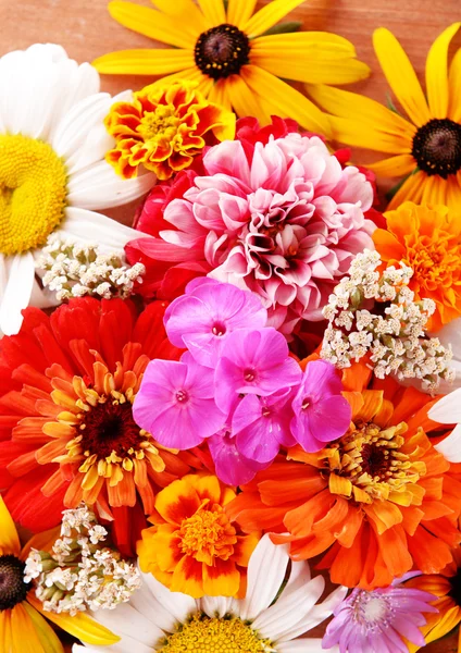 Fresh colorful flowers — Stock Photo, Image