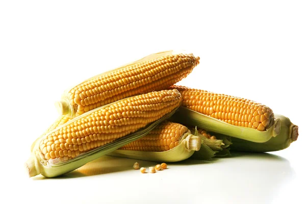 Reifer Mais isoliert auf weiß — Stockfoto