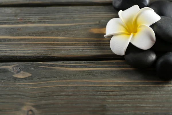 Çakıl taşları ile beyaz plumeria çiçek — Stok fotoğraf