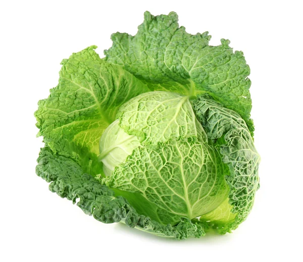 Savoy cabbage isolated on white background — Stock Photo, Image