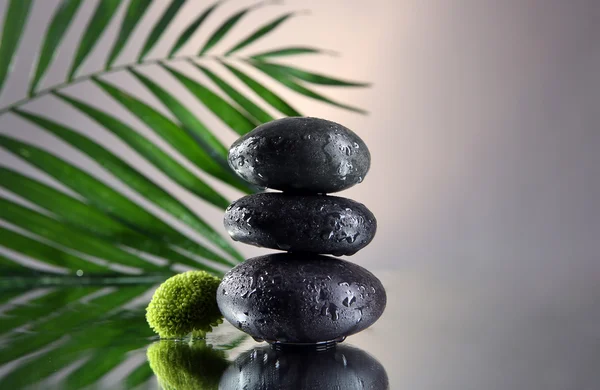 Spa stones and green palm branch  on grey background — Stock Photo, Image