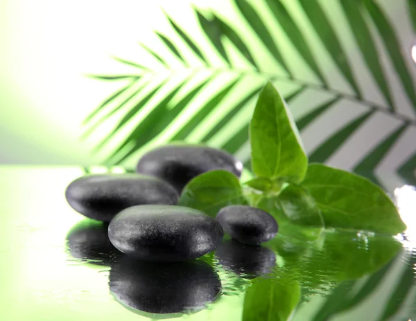 Spa stones and green palm branch on light green background — Stock Photo, Image