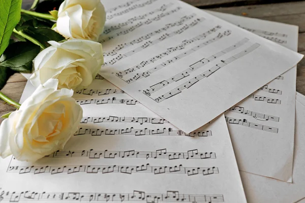 Müzik güzel gül arka plan sayfaları