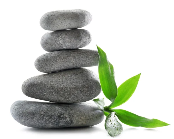 Grey spa stones and green flower, isolated on white — Stock Photo, Image