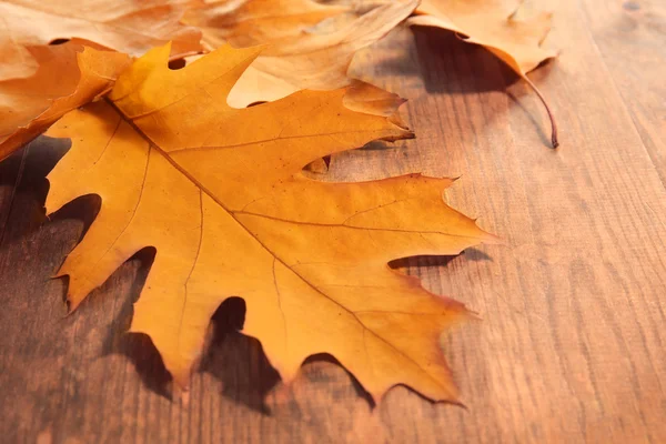 Žlutá podzimní listí na dřevěný stůl, detail — Stock fotografie