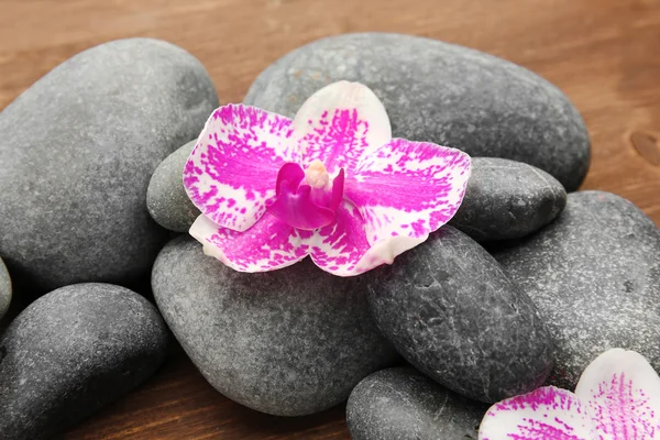 Spa stones and orchids on wooden background — Stock Photo, Image