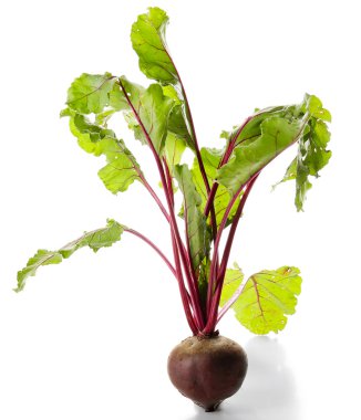 Beyaz izole yaprakları ile genç pancar