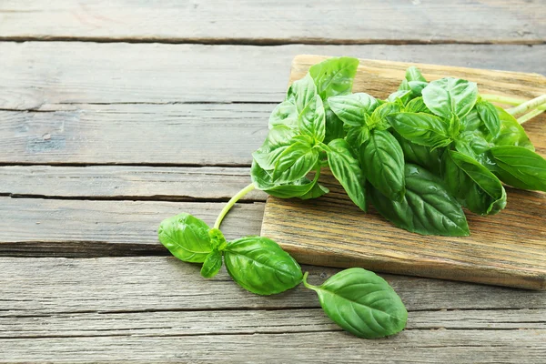 Albahaca fresca verde — Foto de Stock