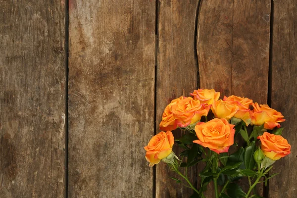 Hermosas rosas pequeñas — Foto de Stock