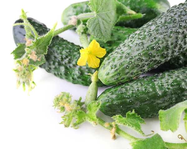 Verse komkommer met bladeren geïsoleerd op witte achtergrond, close-up — Stockfoto