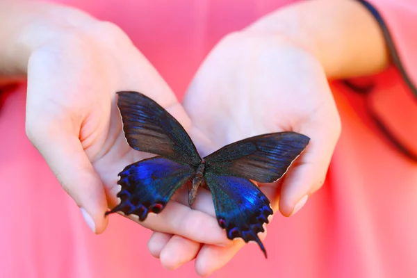 Farfalla colorata nelle mani femminili — Foto Stock