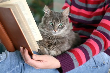 Kedi ile oturan kadın okuma