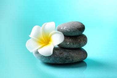 spa taşları ve çiçek