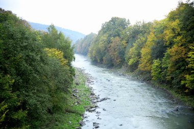 Ormanın içinden akan nehir