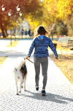 kadın parkta onu köpek ile jogging