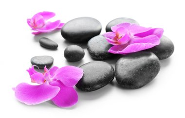 Siyah spa taşlar ve orkide