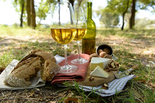 Schöne Komposition aus Weißwein, Käse, Nüssen und Brot auf dem Boden im Park — Stockfoto