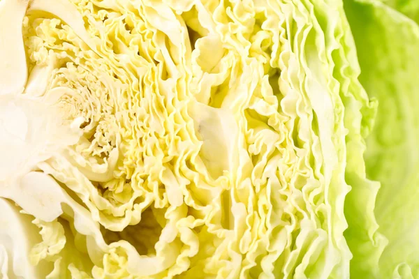 Half of savoy cabbage closeup — Stock Photo, Image