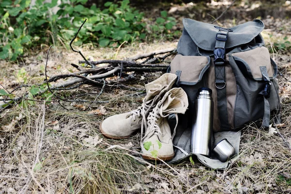 Tourist equipment in the forest — Stock Photo, Image