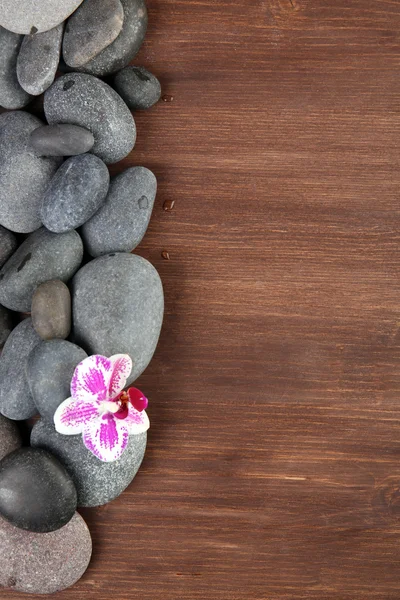 Pedras de spa e orquídea em fundo de madeira — Fotografia de Stock