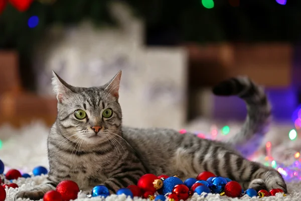Vacker katt nära julgran med dekoration — Stockfoto