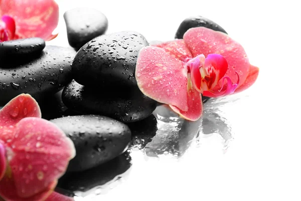 Černá wellness kameny a orchideje — Stock fotografie