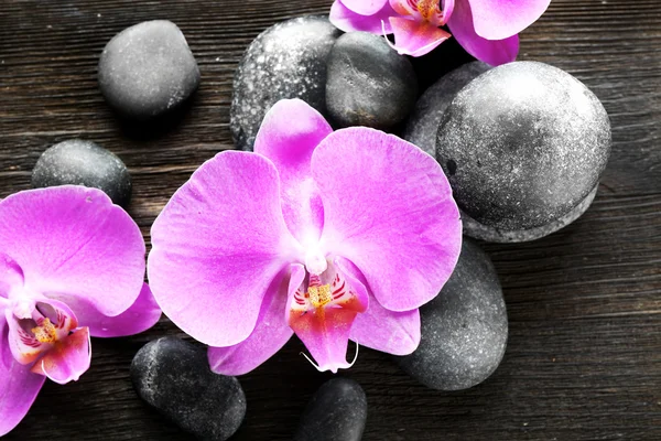 Schwarze Kursteine und Orchideen — Stockfoto