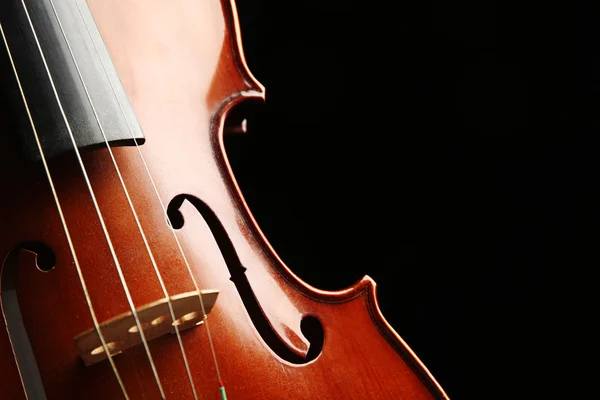 Violin on dark background — Stock Photo, Image