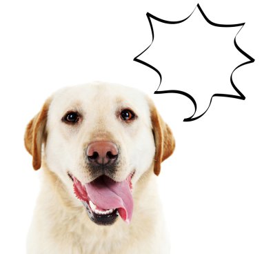 Boş bulut kabarcık ile köpek