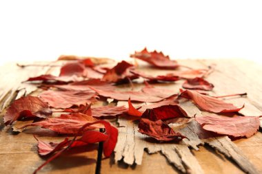 Ahşap masada kırmızı sonbahar yaprakları