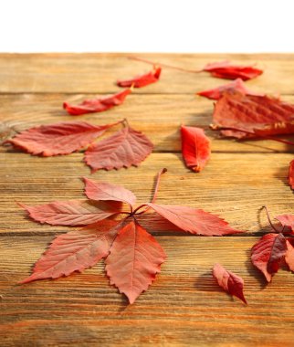 Ahşap masada kırmızı sonbahar yaprakları
