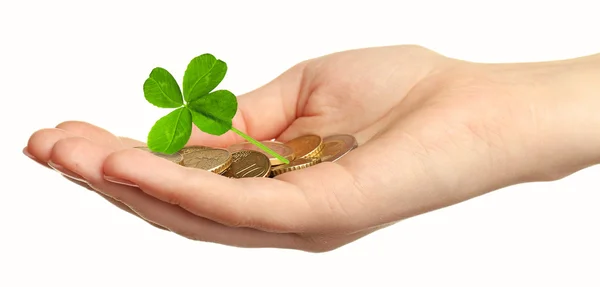 Clover leaf and euro coins in hand — Stock Photo, Image