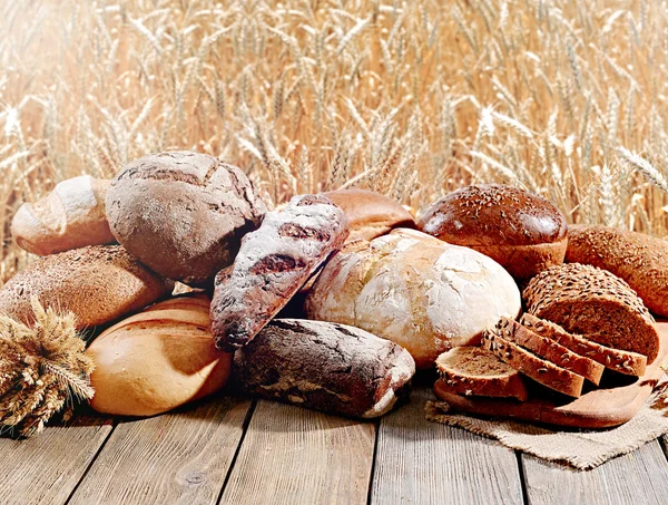 Frisches Brot auf dem Feld — Stockfoto
