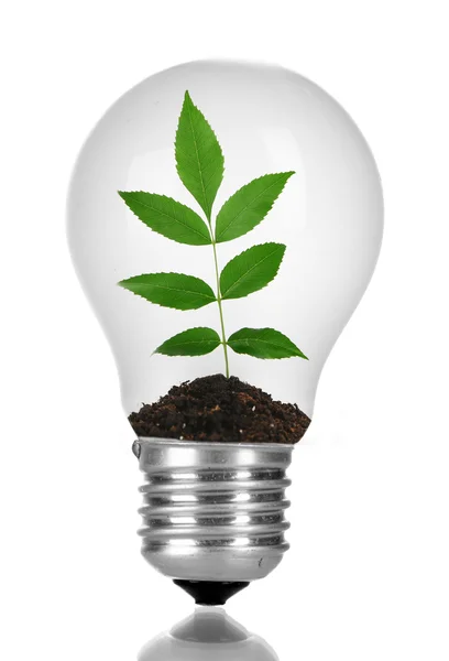 Concepto de energía ecológica ecológica — Foto de Stock