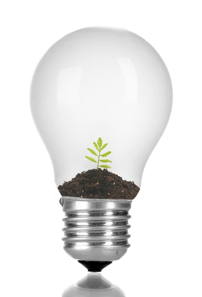 Green eco energy concept — Stock Photo, Image