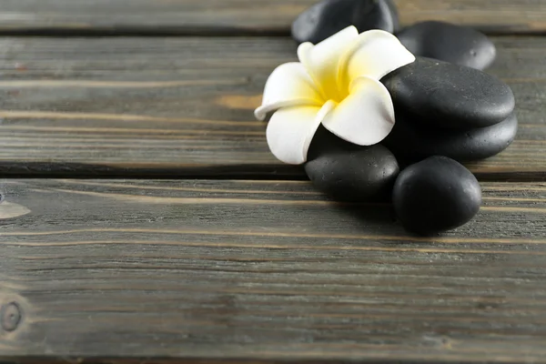 Çakıl taşları ile beyaz plumeria çiçek — Stok fotoğraf