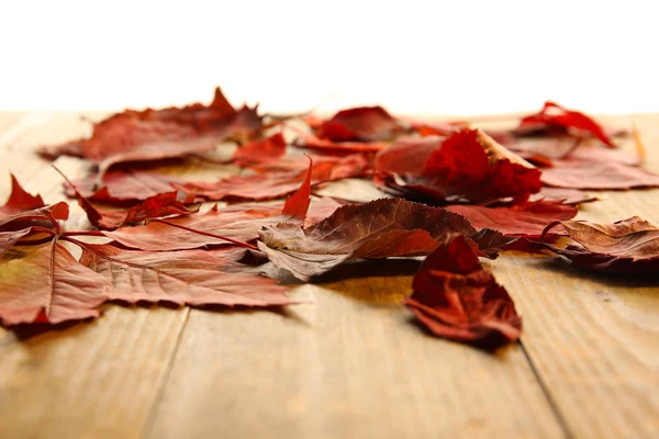 Feuilles d'automne rouges sur table en bois — Photo