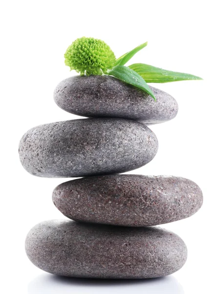 灰色的 spa 石头和绿花 — 图库照片