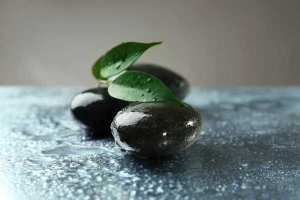 Zusammensetzung der Kieselsteine mit Blättern — Stockfoto