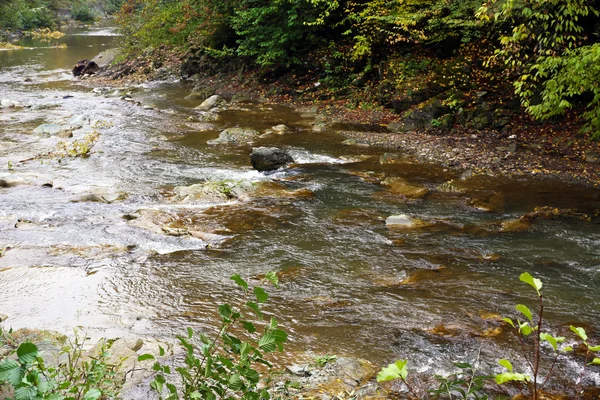 Skog-, flod- och stenar — Stockfoto